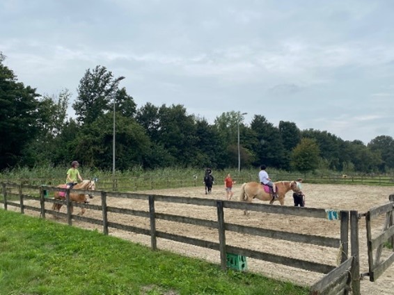 Paardenbak kzb